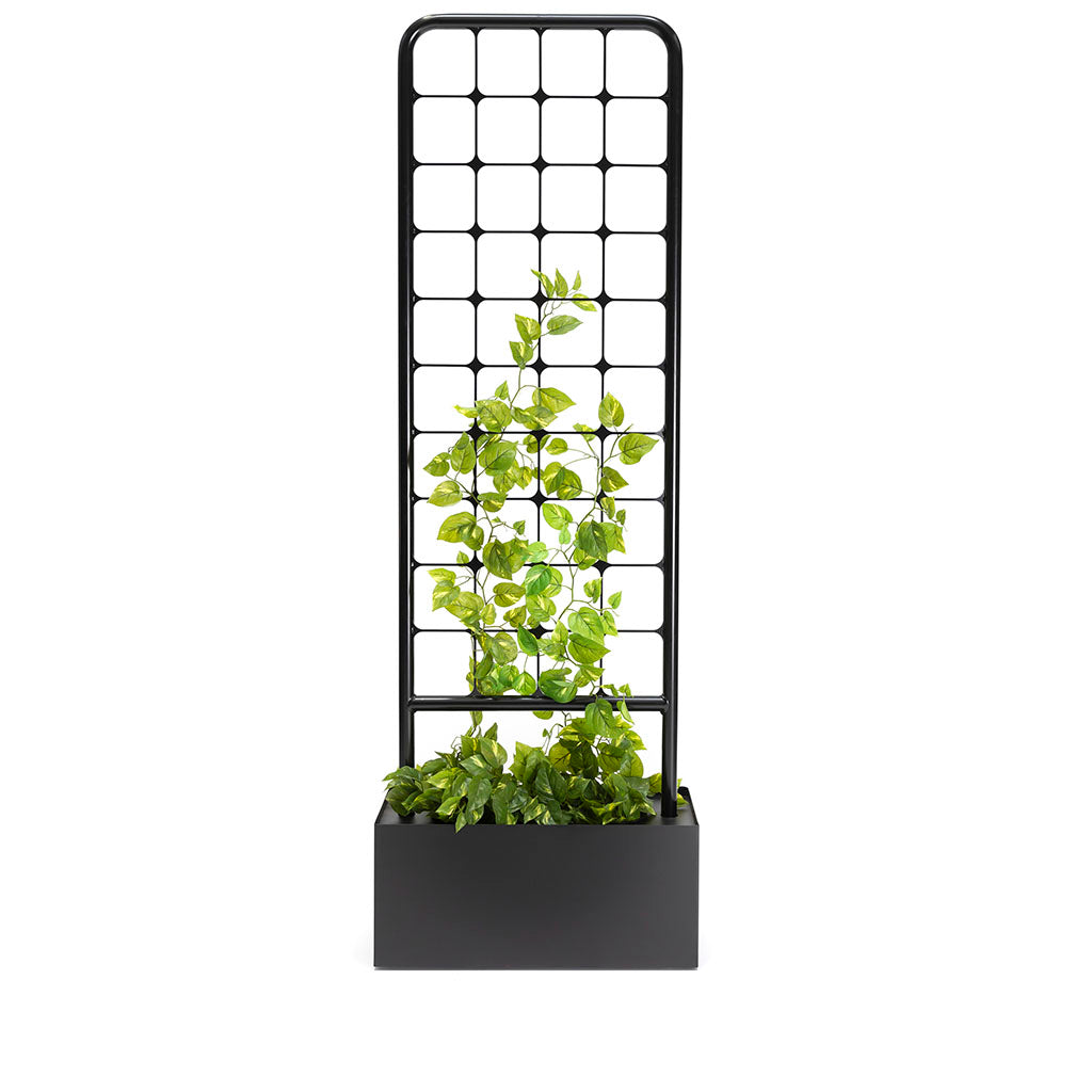 Arbour Trellis Planter