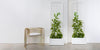 Vertical Planters and Divider Walls