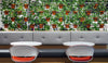 Vertical gardens and divider screens