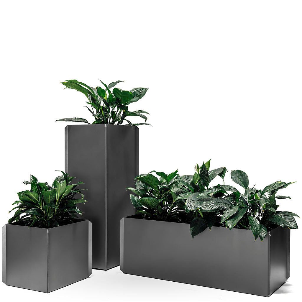 Shadowline Planter
