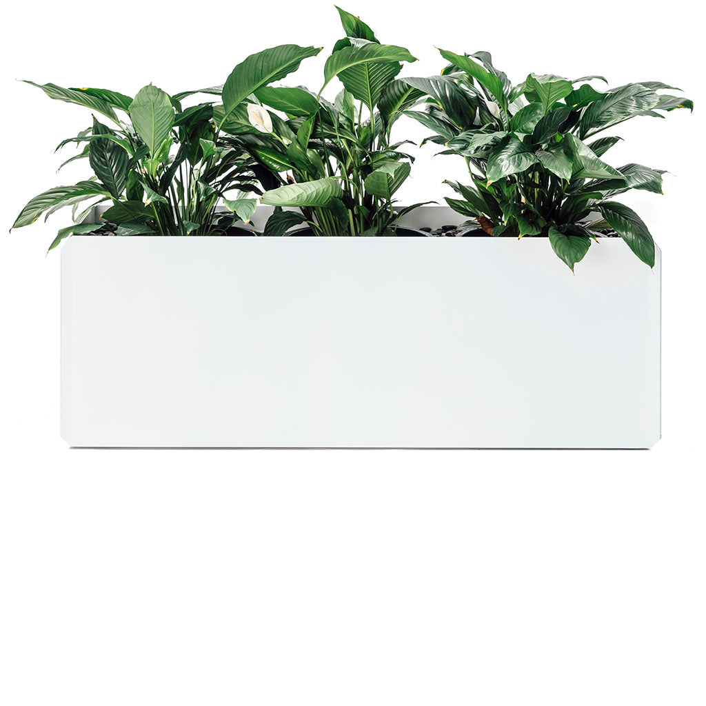 Shadowline Planter