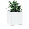 Shadowline Planter