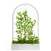 Leaf Planter