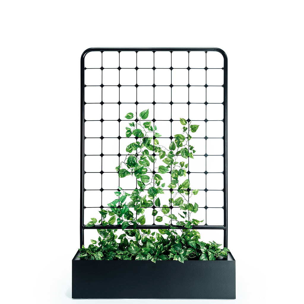 planter box with trellis australia Arbour Trellis Planter