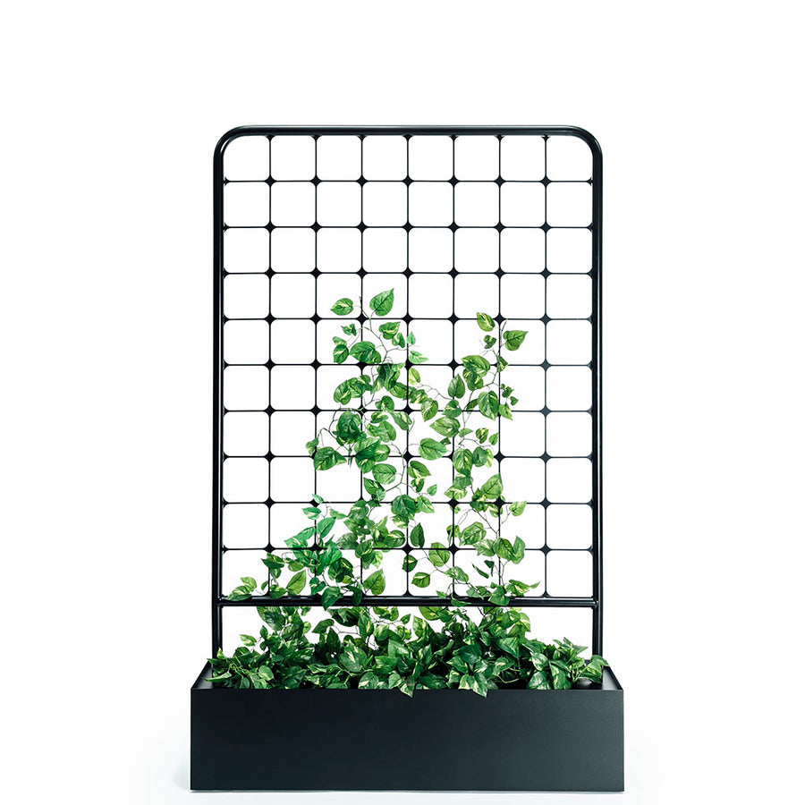 Arbour Trellis Planter