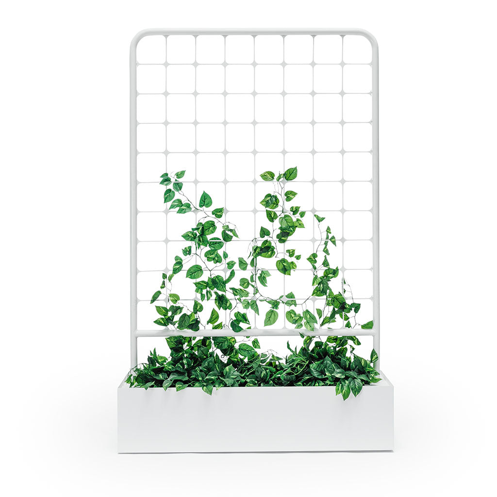 Arbour Trellis Planter