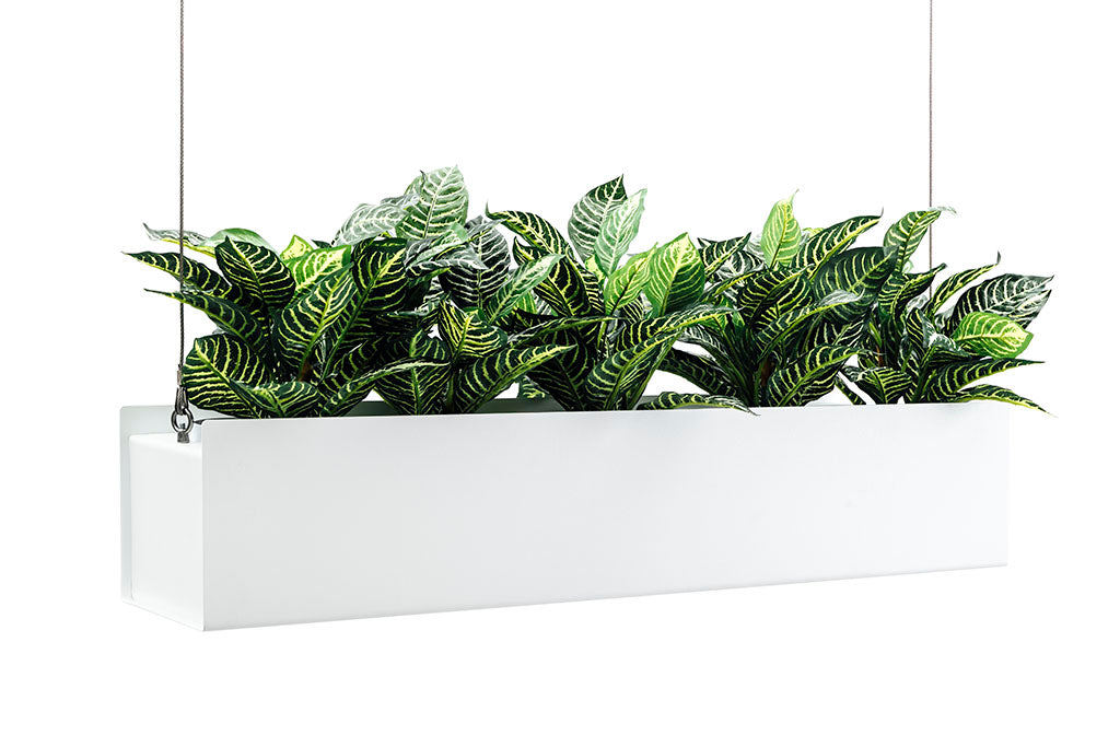 O.C. Hanging Planter