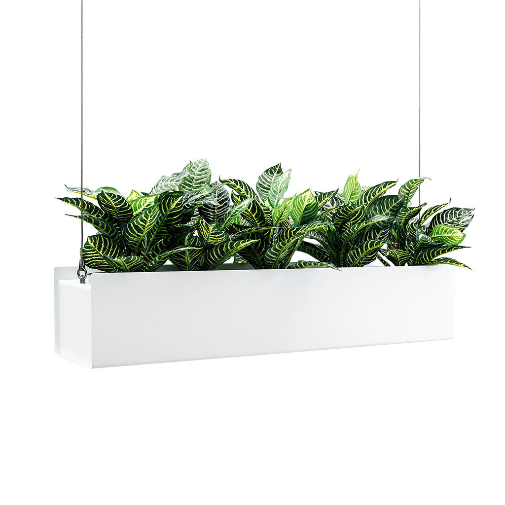 hanging rectangle planter O.C. Hanging Planter