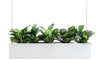 O.C. Hanging Planter Lrg