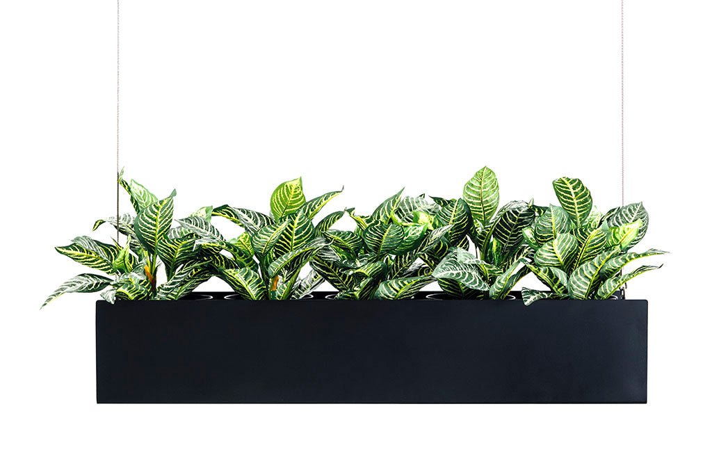 black hanging planter box O.C. Hanging Planter