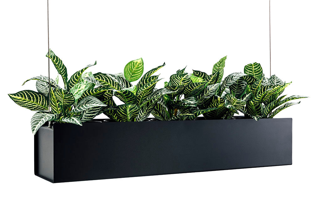 O.C. Hanging Planter