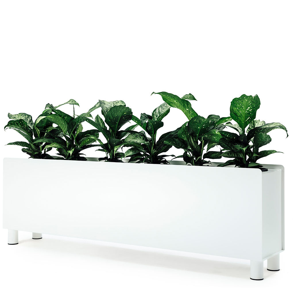 O.C. Floor Planter