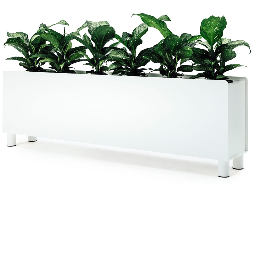 O.C. Floor Planter